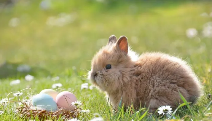 pasen vieren nederland