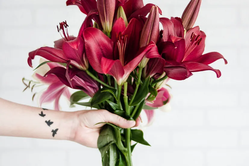 pexels dominika roseclay 1179026 1