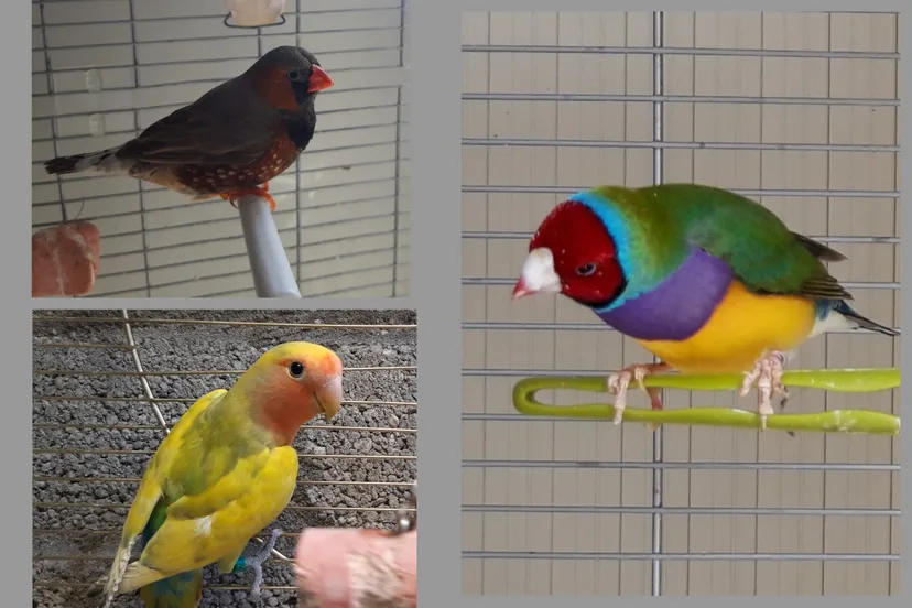 photogrid 1597343933812