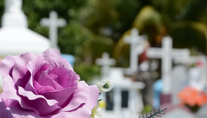 uitvaart kerkhof bloem