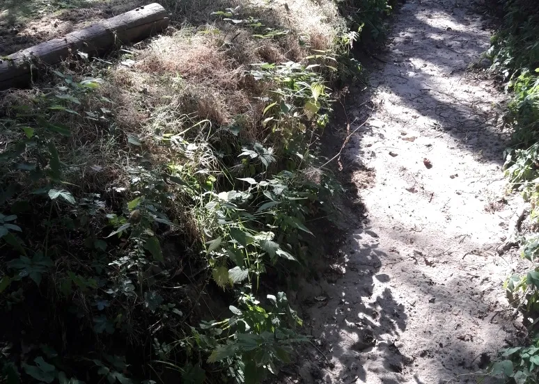 antwerpsestraatweg-124-te-hoogerheide