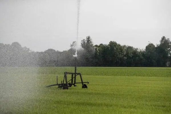 grondwatergebruik sproeien