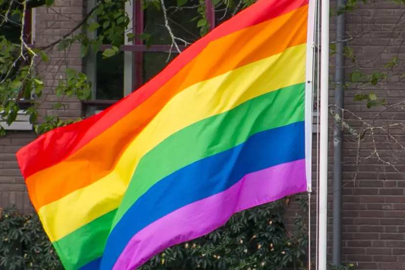 sasel13-pride-flag-4398946