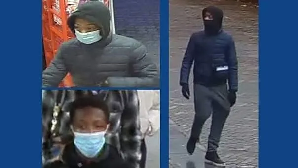 261311242 2214078612066573 48647