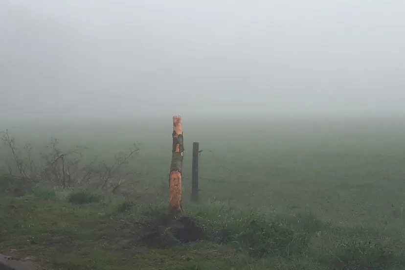 92096617 2983726145003906 5942232204867272704 o