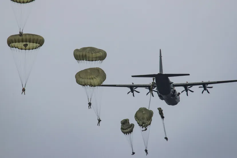 albert willemsen scaled