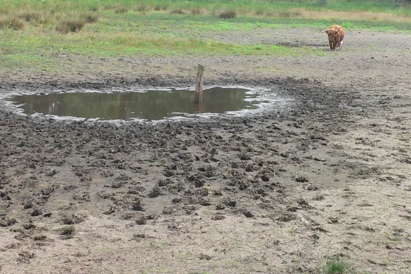 droogte nmrg16606