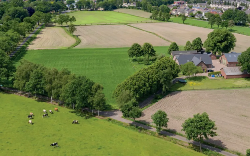 foodvalley 915x518 1