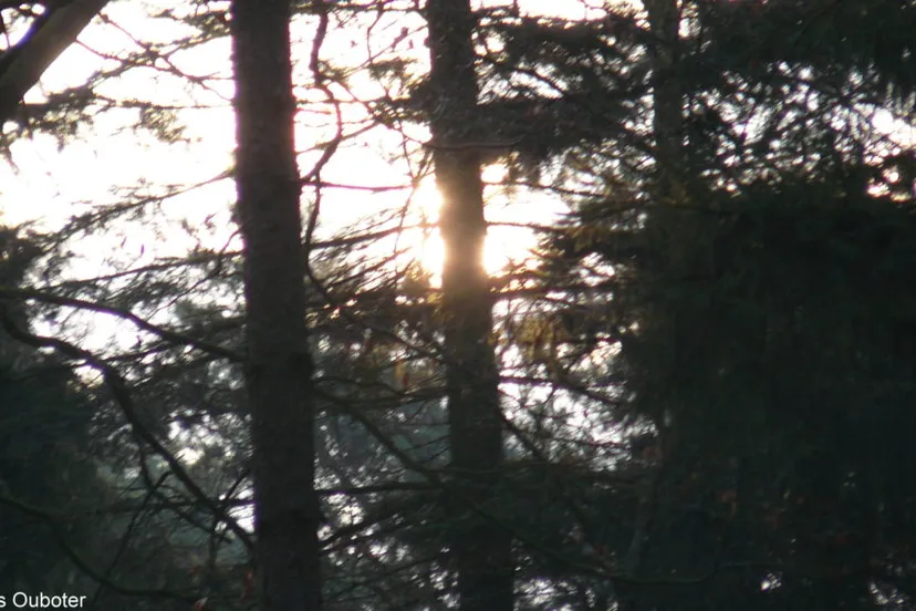 foto bos chris 1024x576