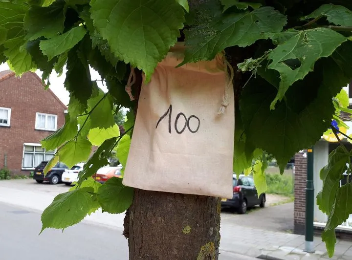 gemeente scherpenzeel