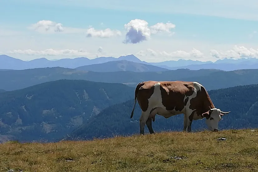 jacolien van welsum scaled