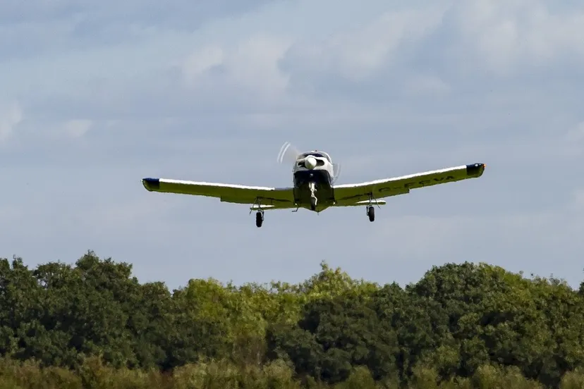 pixabay ter illustratie