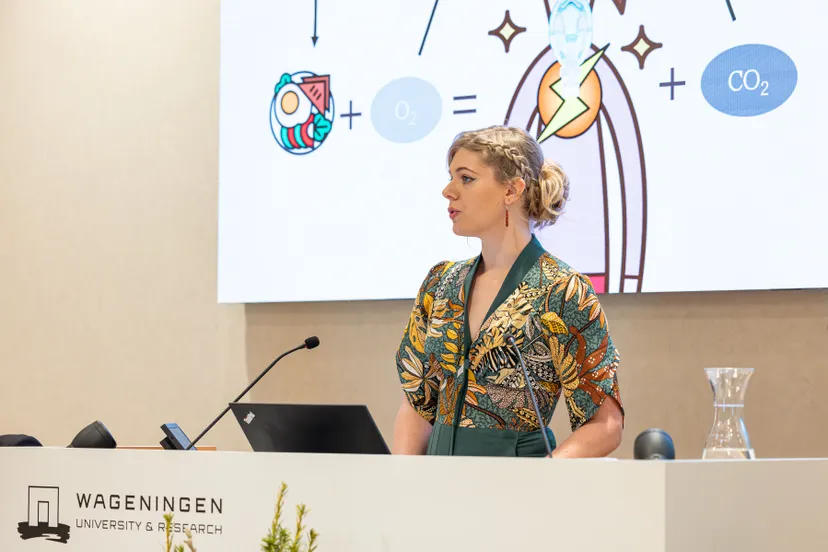 hanneke moonen thesis defense 6