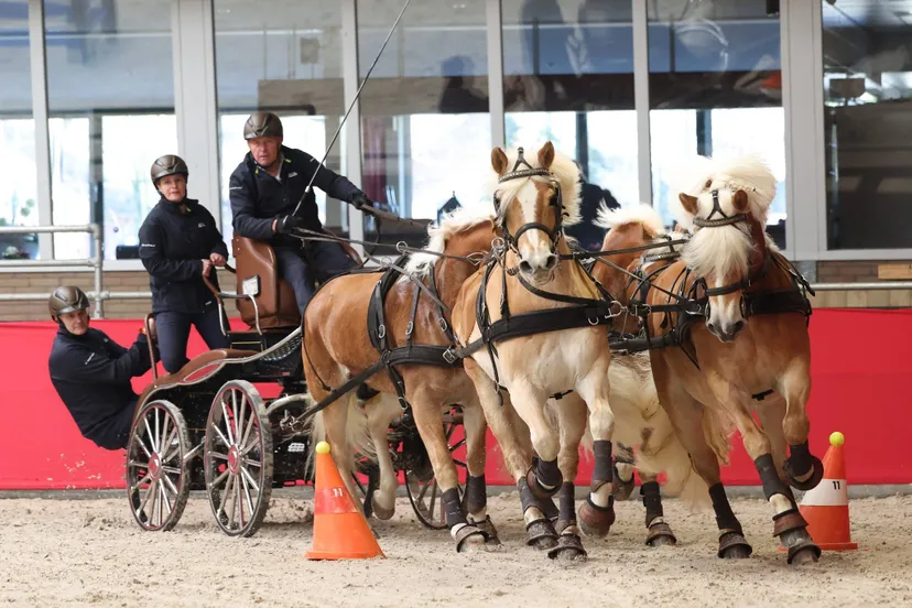 475844552 4044170722482123 1792728656549563877 n