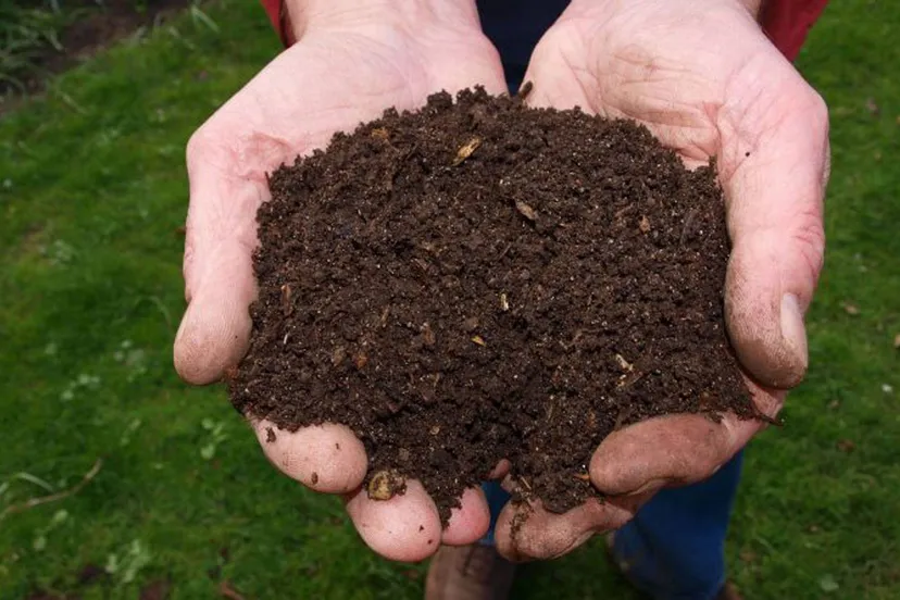 compost foto pixabay