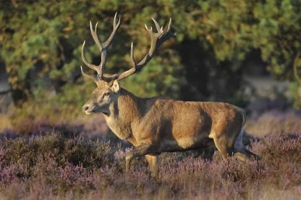 workshop_bronstfotografie2_