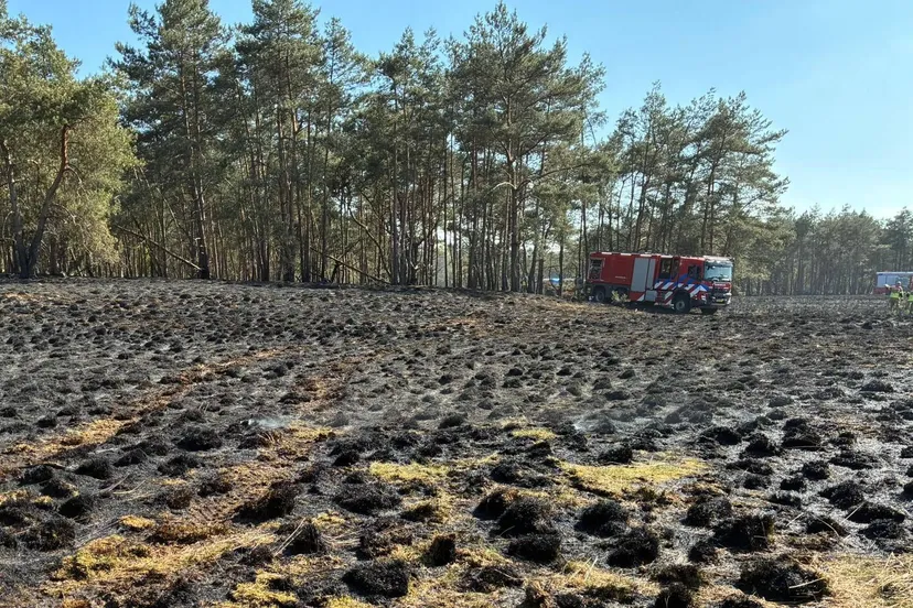 Opslaan Ederheide brand 21 april 2026