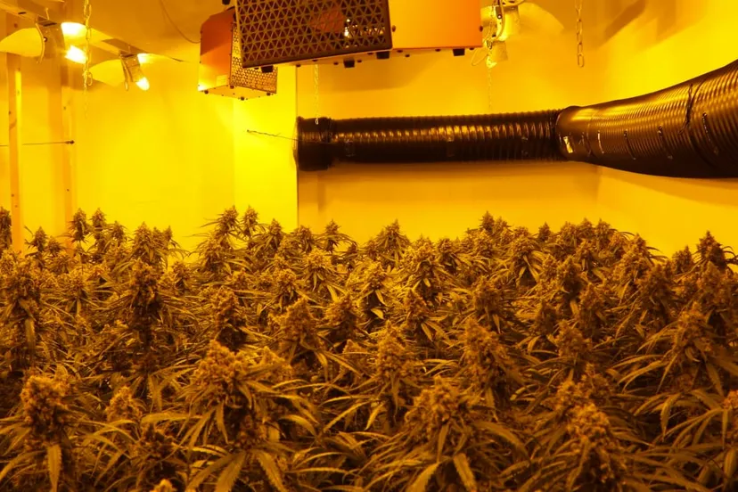 01 hennepactie 21 mei 2019 bjorn de hoog