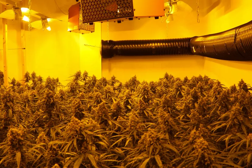 01 hennepactie 21 mei 2019 bjorn de hoog