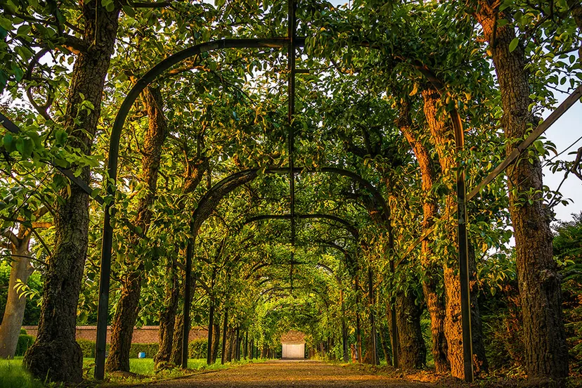 229 ursulinentuin sittard2 libor bednarik sittard365