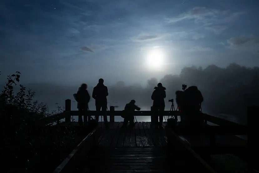 3 nacht van de nacht fotocredits maurice hertog