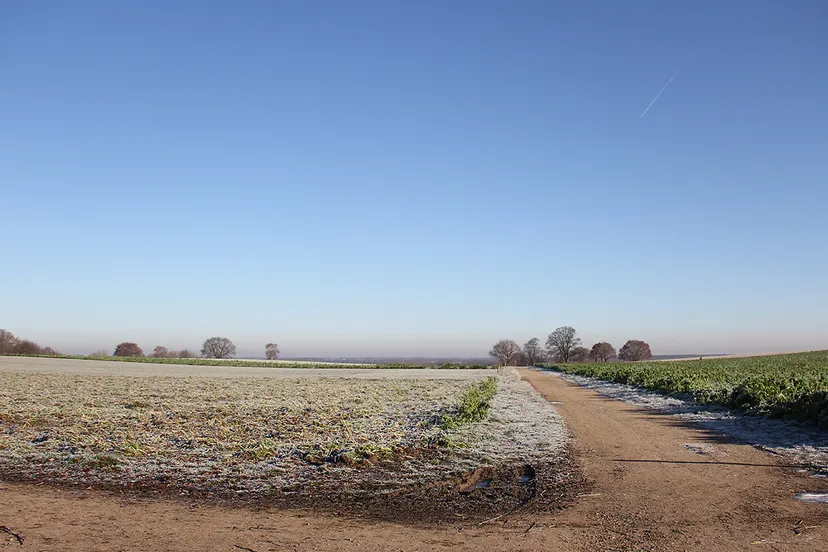 4 december 2016 wandelweer 2