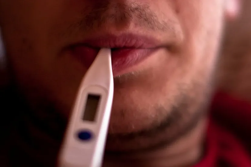 4352535111 ae8e1c1085 b ziek thermometer claus rebler cc by sa 20