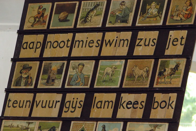 aap noot mies taalles
