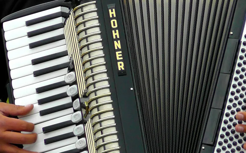accordion 362722 1280 accordeon cc0 pixabay