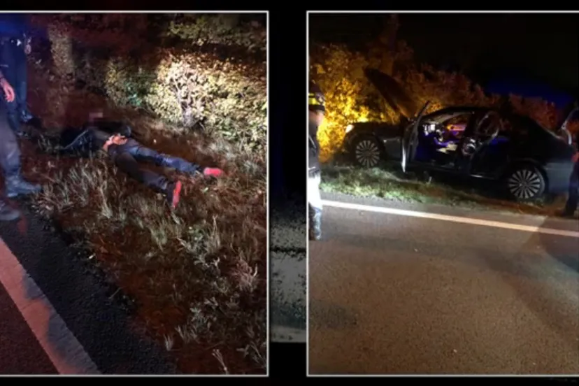 achtervolging eindigt bij op de vos 23 augustus 2020