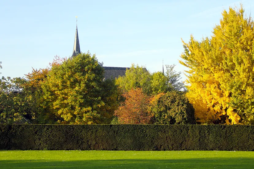 agnetentuin sittard een van de geheime tuinen