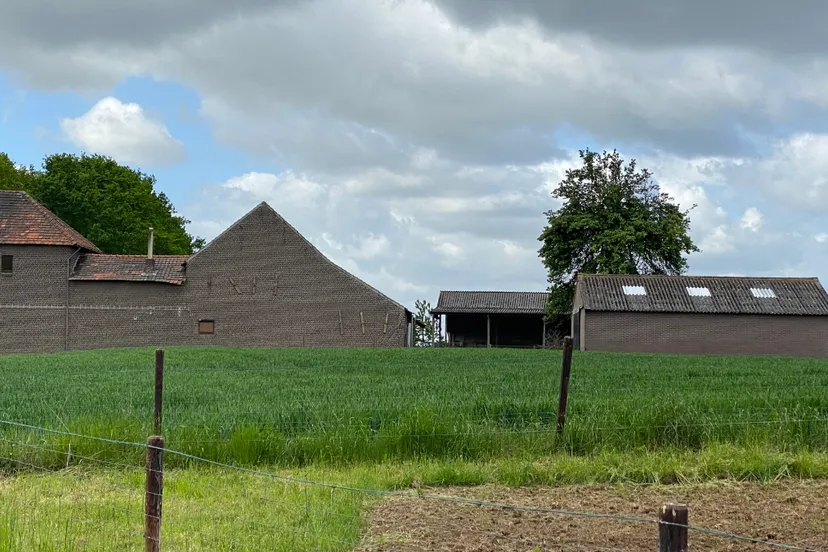 agrarische bebouwing buitengebied