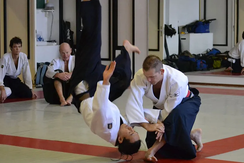 aikido yoseikan cc by sa 30 wikimedia commons