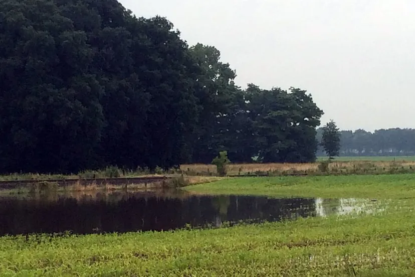 akker blank tussen limbricht en born