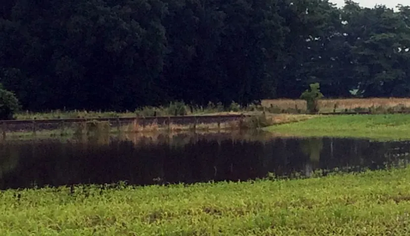 akker blank tussen limbricht en born