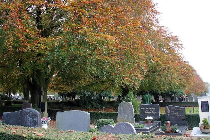 algemene begraafplaats lahrstraat herfst 2014