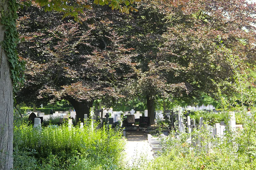 algemene begraafplaats sittard