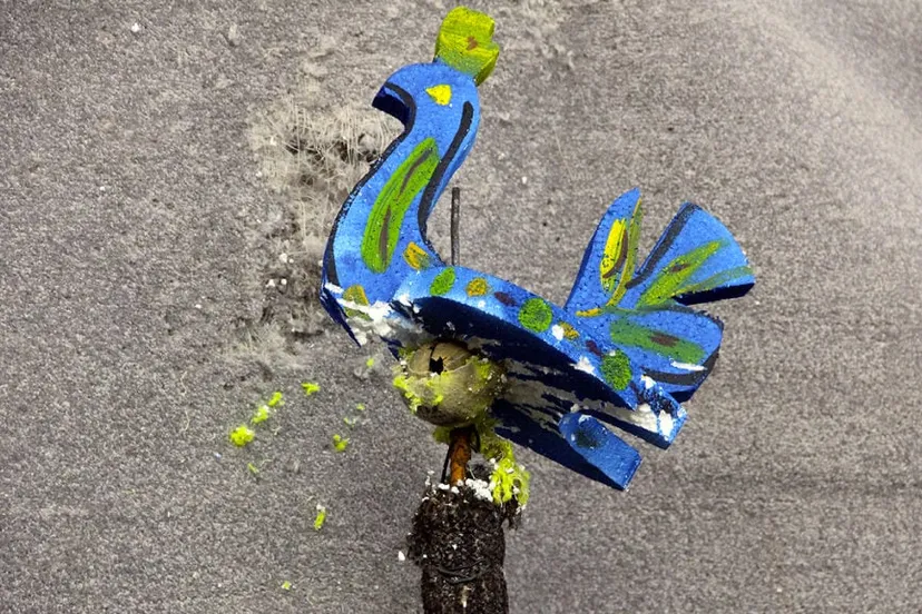 alternatief vogelsjeite 2020