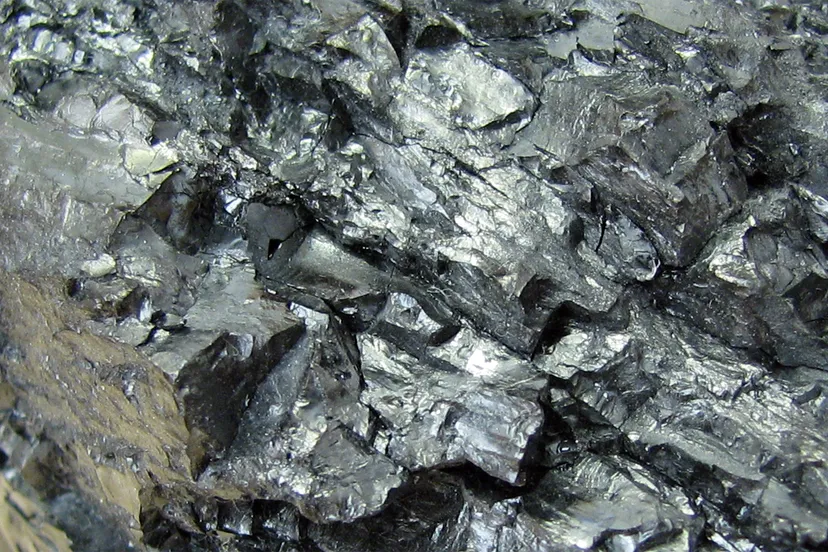 anthraciet educerva cc by sa 30