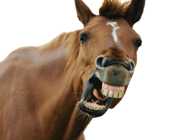 anw05yt58ev754yubkd0i9in6 166852