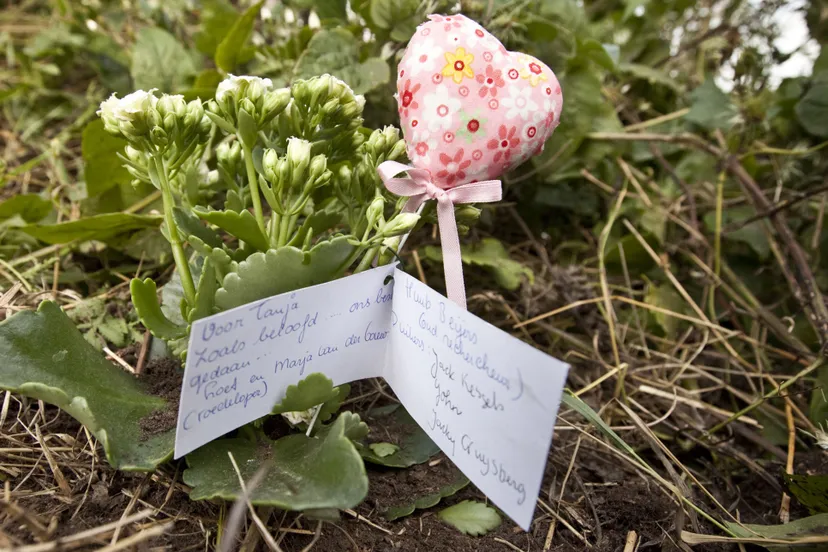 apys3ksw101mebf6iugwkas6l tanjadef