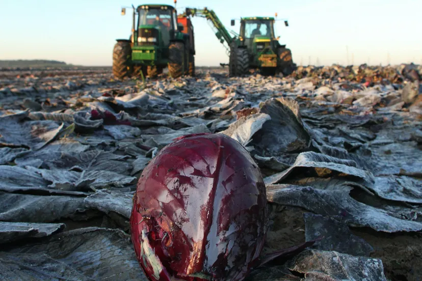 ar6qdnknpgf301s9atf3n7ylq tractorboerderijrodekoollandbouwvoedsel1etenboerenhqfot