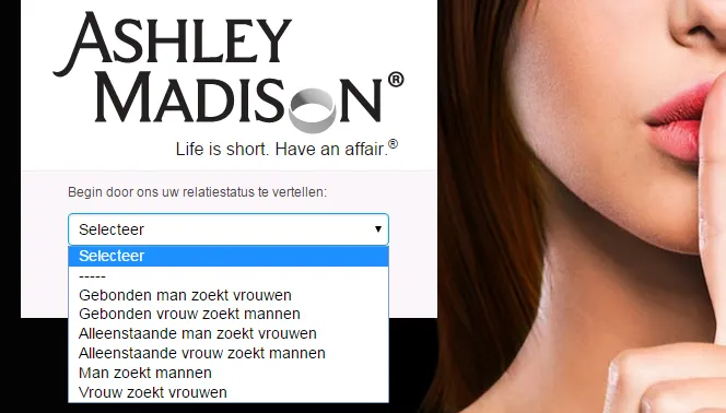 ashley madison homepage