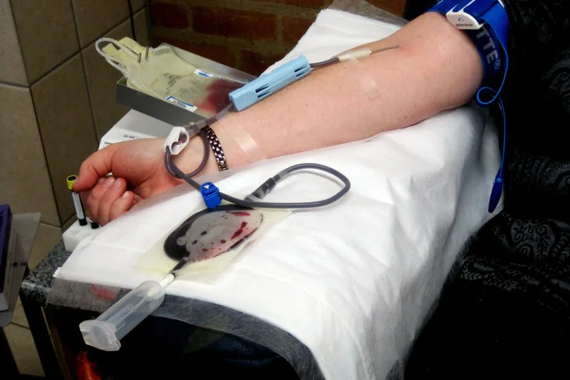 at the bloodbank 14038067094m8 bloedbank bloed donor