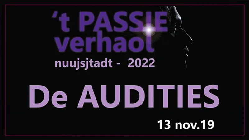 audities passieverhaol nieuwstadt