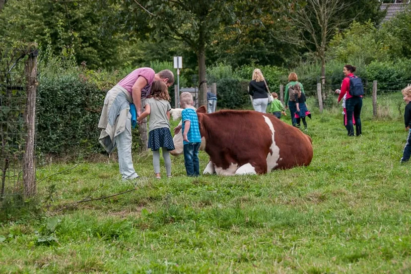 avondvierdaagse sittard francoise petersen wwwfpfotografieputhnl