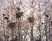 aya50ik9j7uu6u88cwkegdv2q 227408