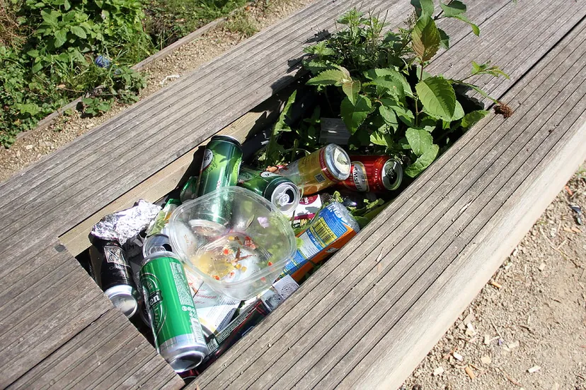 bankje in hortus cultuurkweek