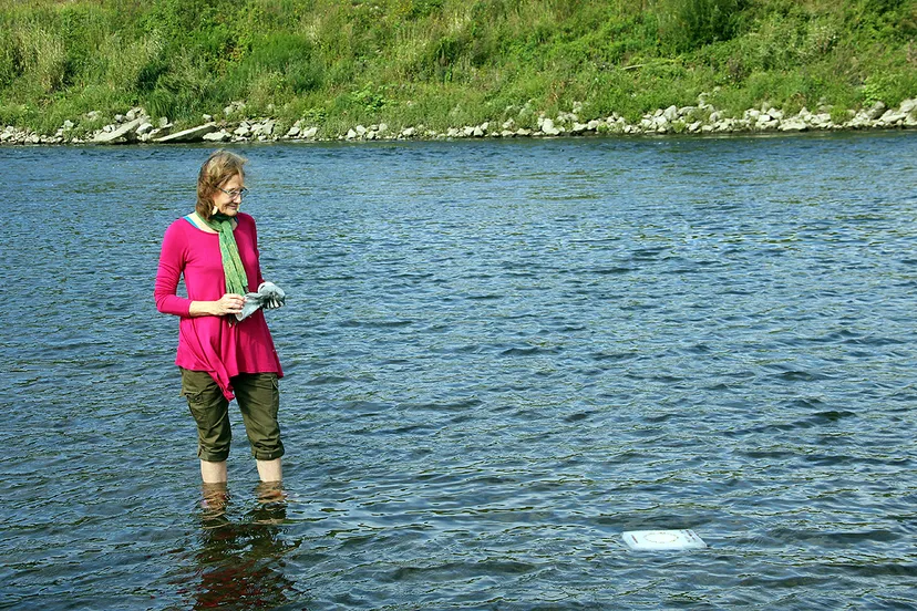 basia irland ice books 1