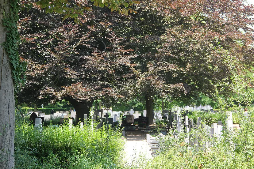 begraafplaats sittard